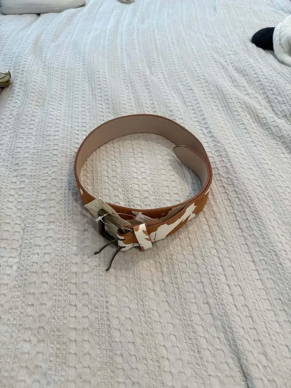 Altar'd State Cow Print Genuine Leather Calf Hair Belt